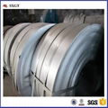 AISI cold rolled galvanized steel strip