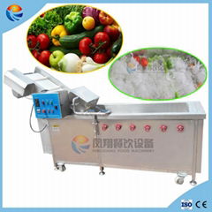 Industial Vegetable Fruit Food Bubble High Pressure Spray Washing Washer Machine