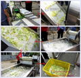 Automatic Cabbage Lettuce Vegetable Washing Cutting Dewateing Machine 4