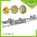 Potato French Fries Ginger Washing Peeling Cutting Processing Line 1