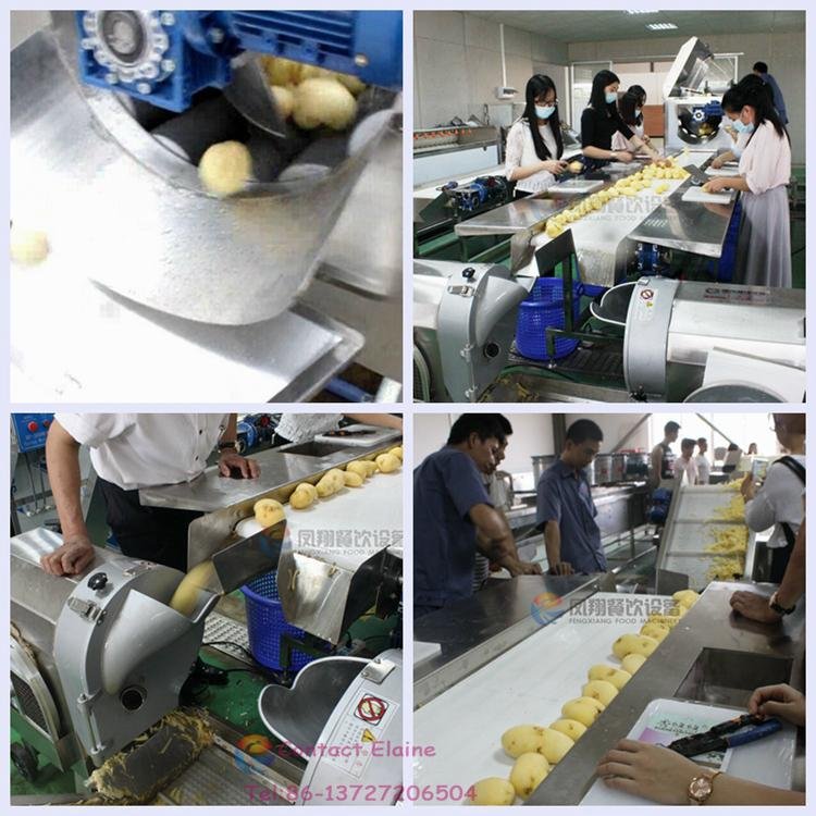 Potato French Fries Ginger Washing Peeling Cutting Processing Line 3