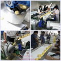 Potato French Fries Ginger Washing Peeling Cutting Processing Line 3