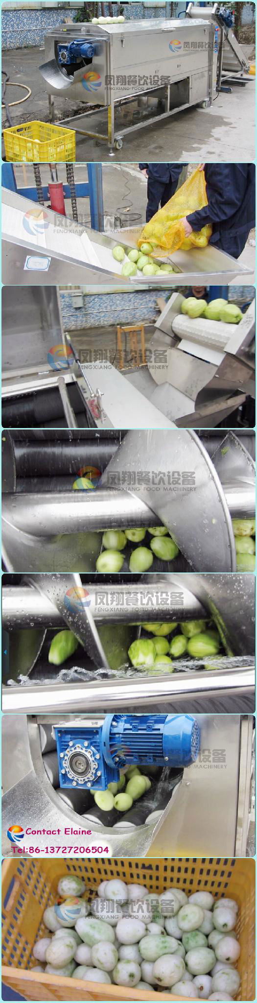 Industrial Potato Taro Guava Carrot Taro Onion Washing Peeling Machine 3