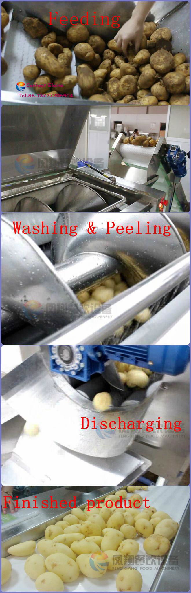 Industrial Potato Taro Guava Carrot Taro Onion Washing Peeling Machine 4