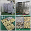 Industrial Hot Air  Food Fish Fruit Vegetable Drying Dryer Machine 3