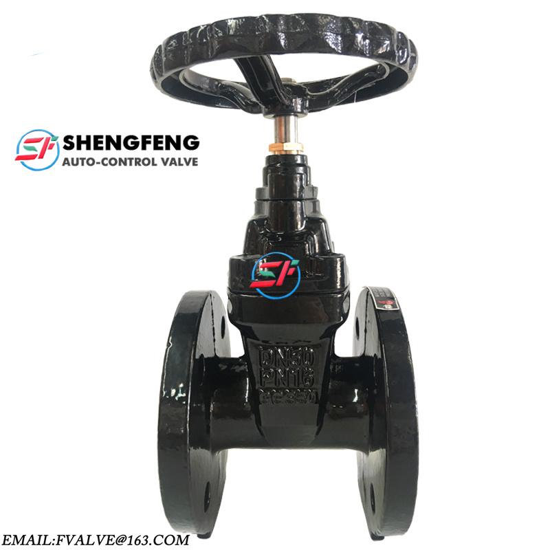 DIN F4 NRS GGG50  DN65 Ductile iron Resilient seat gate valve 1