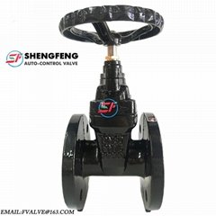 DIN F4 NRS GGG50  DN65 Ductile iron Resilient seat gate valve