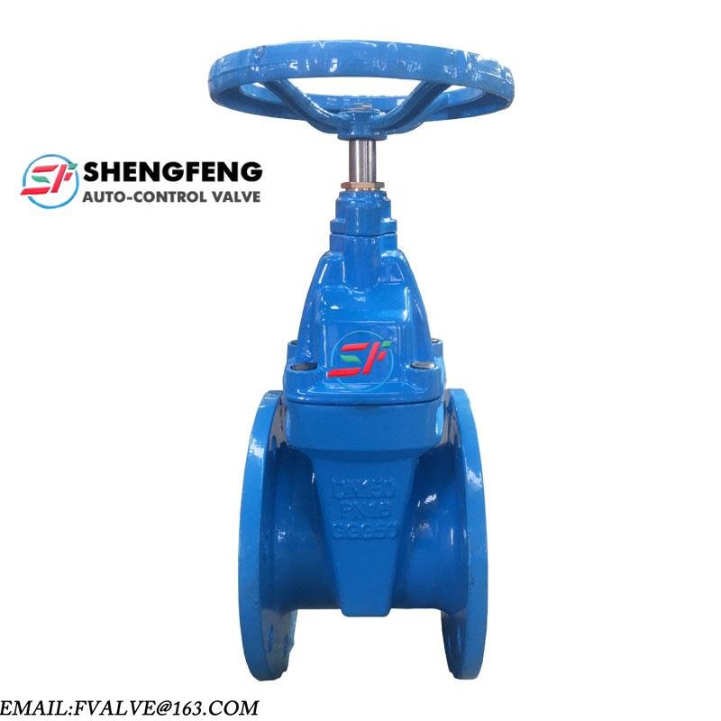 DIN3202 F4 DN50 Cast iron water gate valve