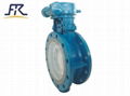 Double Offset Butterfly Valve, Bronze Lug Butterfly Valve with Double Eccentric  1