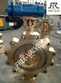 Double Offset Butterfly Valve, Bronze Lug Butterfly Valve with Double Eccentric  2