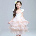 Princess Dress Formal Dress Party Skirt Girls Frozen 1