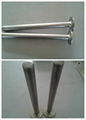 Titanium GR2 welding pipe 1