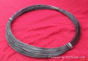 Tungsten wire 2