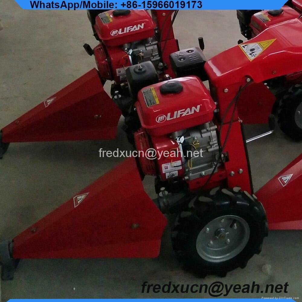 Self Propelled Lawn Mower in Grass Trimmer 5