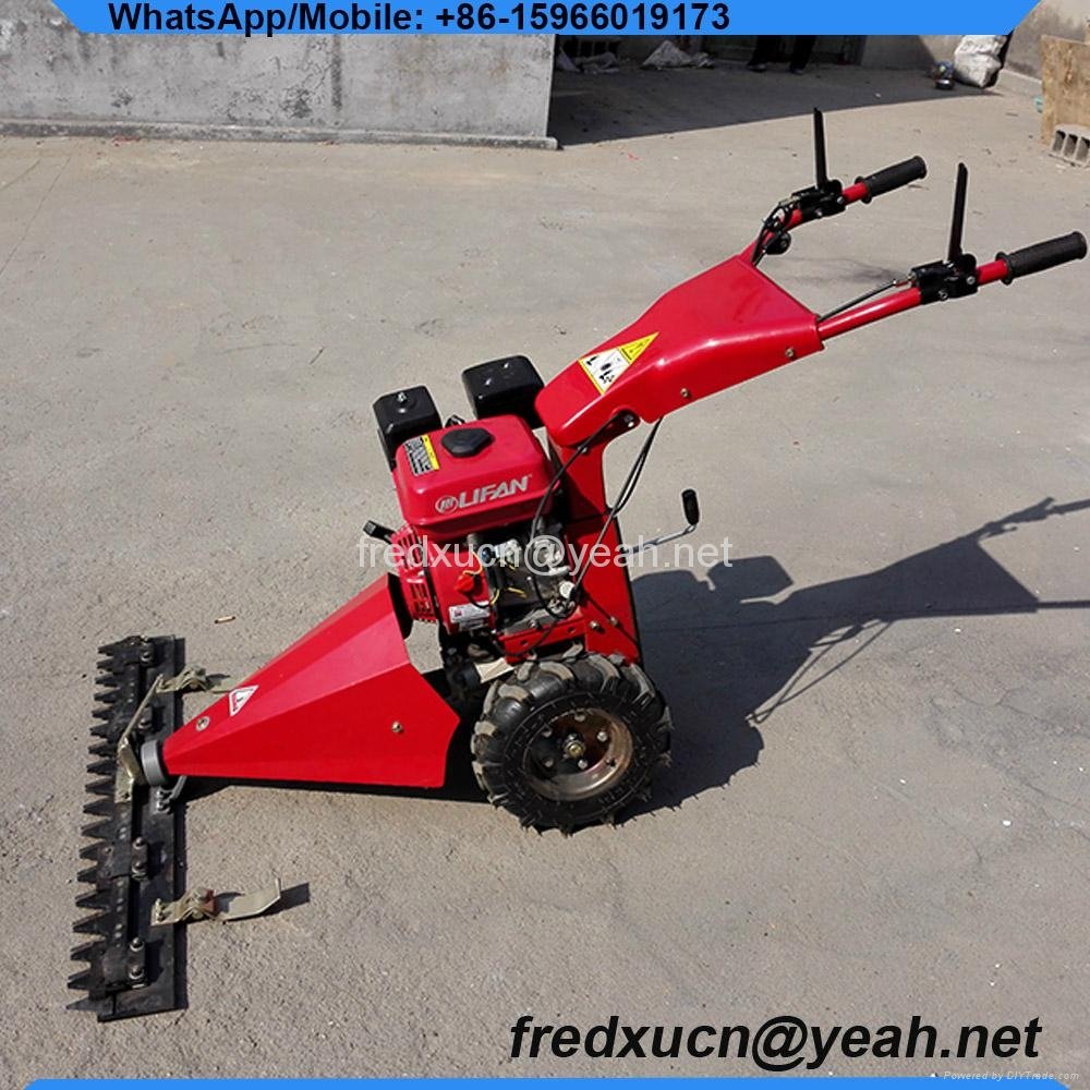Self Propelled Lawn Mower in Grass Trimmer 2