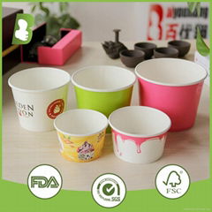 8oz 9oz 10oz 12oz Custom printed disposable ice cream paper cup