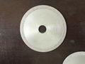 FRP-Diamond saw blade