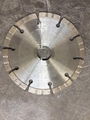 Stone segmented saw blade 、 Concrete saw web 1