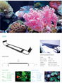 Aquarium Lighting With Options For Both Saltwater And Freshwater Tanks 2