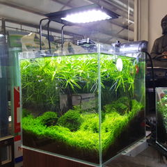 led aquarium light for freshwater and reef tanks