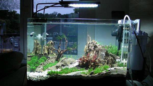 led aquarium light for freshwater and reef tanks 2