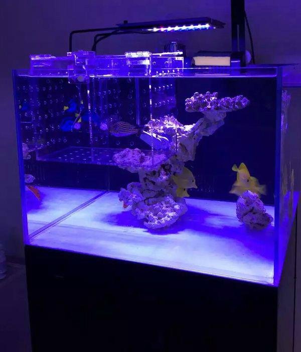 led aquarium light for freshwater and reef tanks 3