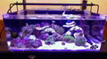 54 Watt Aquarium LED Lighting System For Both Freshwater And Saltwater Tanks 5