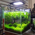 Water Plant Grow LED Light Aquarium Super Slim 12000k 5