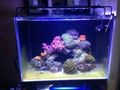 Marine LED Light Coral SPS LPS Grow Mini Nano Aquarium Sea Reef Tank  2