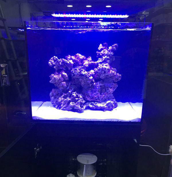 Marine LED Light Coral SPS LPS Grow Mini Nano Aquarium Sea Reef Tank  5
