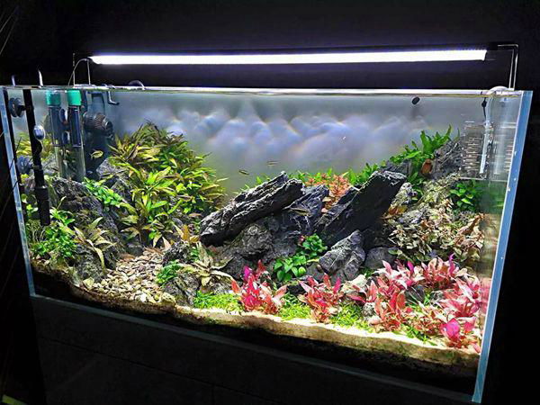 LED Aquarium Light Fish Tank Hood Marine Aquatic Pets Plants Blue White Lighting 3