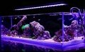 Aqua Aquarium Light Illumination White Blue Plant Grow Fish Tank Lights  4