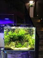 Freshwater LED Light for Aquarium 36 Watts 5