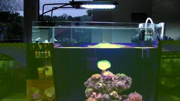 Aquarium Light LED For Marine Fish Tank Lighting Saltwater 