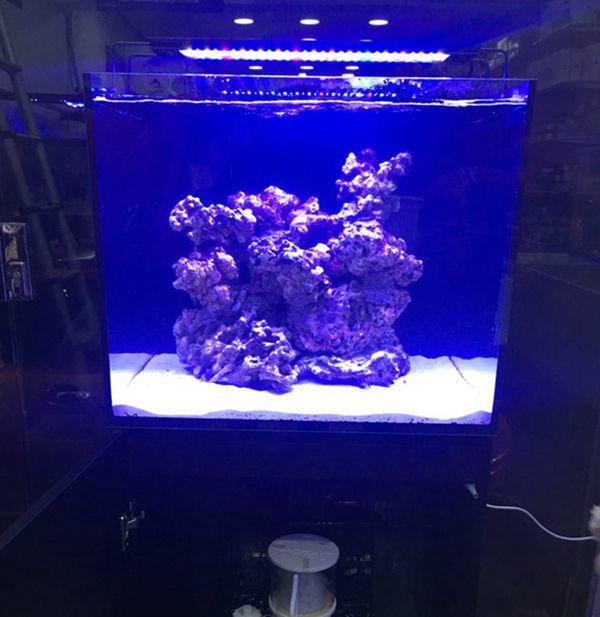 AquaLighter Marine Aquarium LED Light 8300K For Saltwater Tank 2