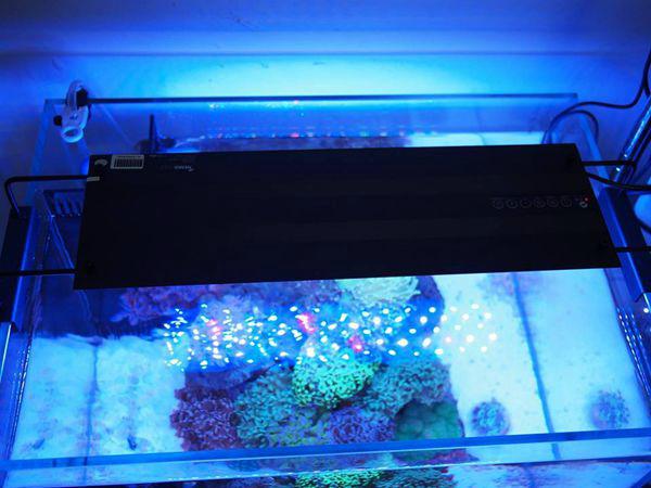 AquaLighter Marine Aquarium LED Light 8300K For Saltwater Tank