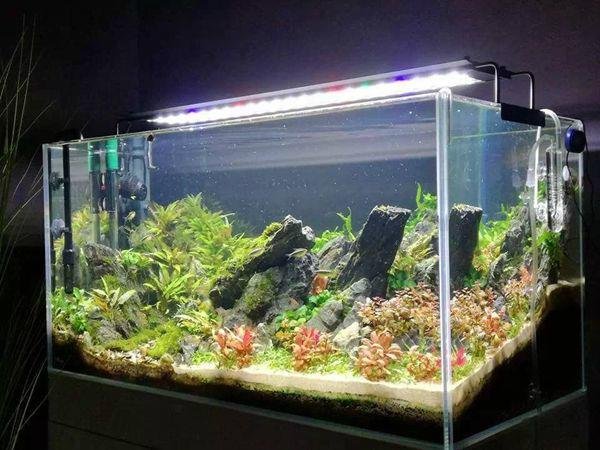 White Blue 54W LED Light Full Spectrum Aquarium Fish Tank  Light  4