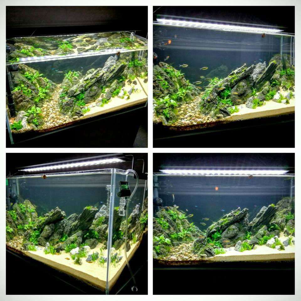  White Blue 54W LED Light Full Spectrum Aquarium Fish Tank  Light 
