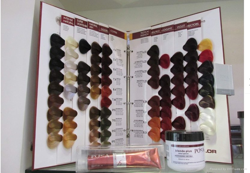 2017 Wholesale Factory Price Superior Quality Salon Use Hair Dye Color Swatch 2