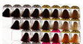 Three Folded Hair Color Chart for Hair Cream Dye 3