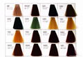 Three Folded Hair Color Chart for Hair Cream Dye 4