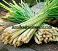 Vietnam Lemongrass 1