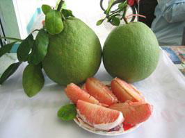 Fresh Pomelo