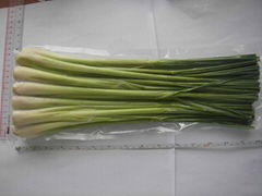 Fresh Lemongrass