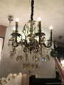 68813 series .Crystal Candle Chandelier(zinc alloy) 3