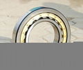 NSK NU2236EMbearings cylindrical roller bearings 1