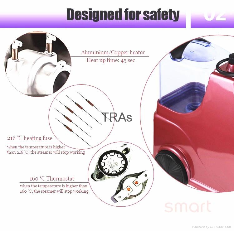 Handsome garment steamer for clothes E8Handsome TRAs (China