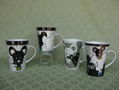 White And Black Cat Ceramic Coffee Mug 1