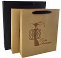 customized 170gsm Brown Kraft Paper Bag 3