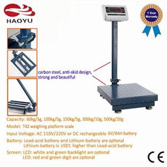 China Weigh Indicator T4Z Digital Balance Electronic weighing paltform scale 